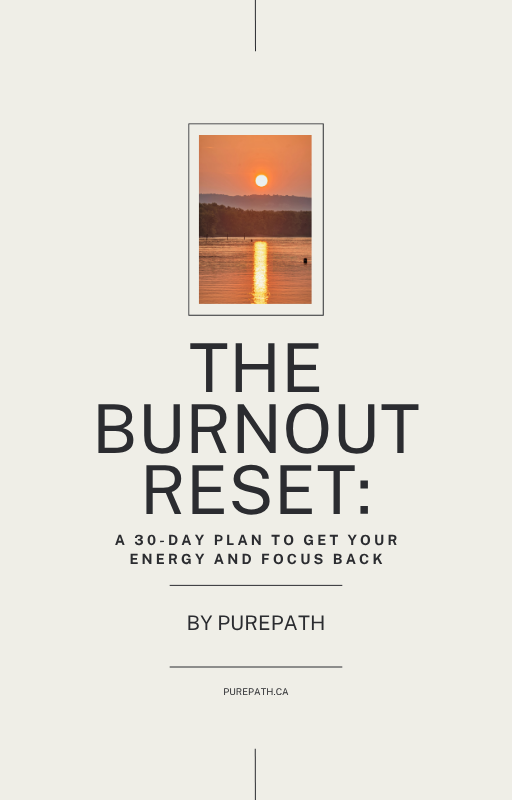 The Burnout Reset: A 30-Day Plan To Get Your Energy and Focus Back